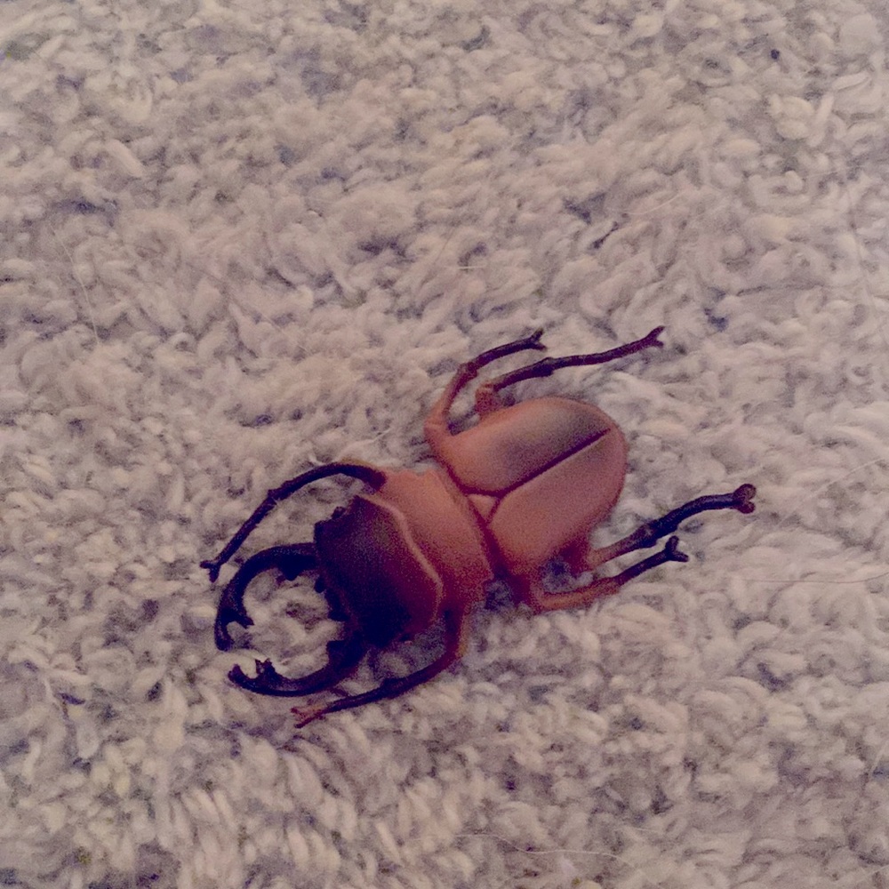 Brown Beetle w red eyes